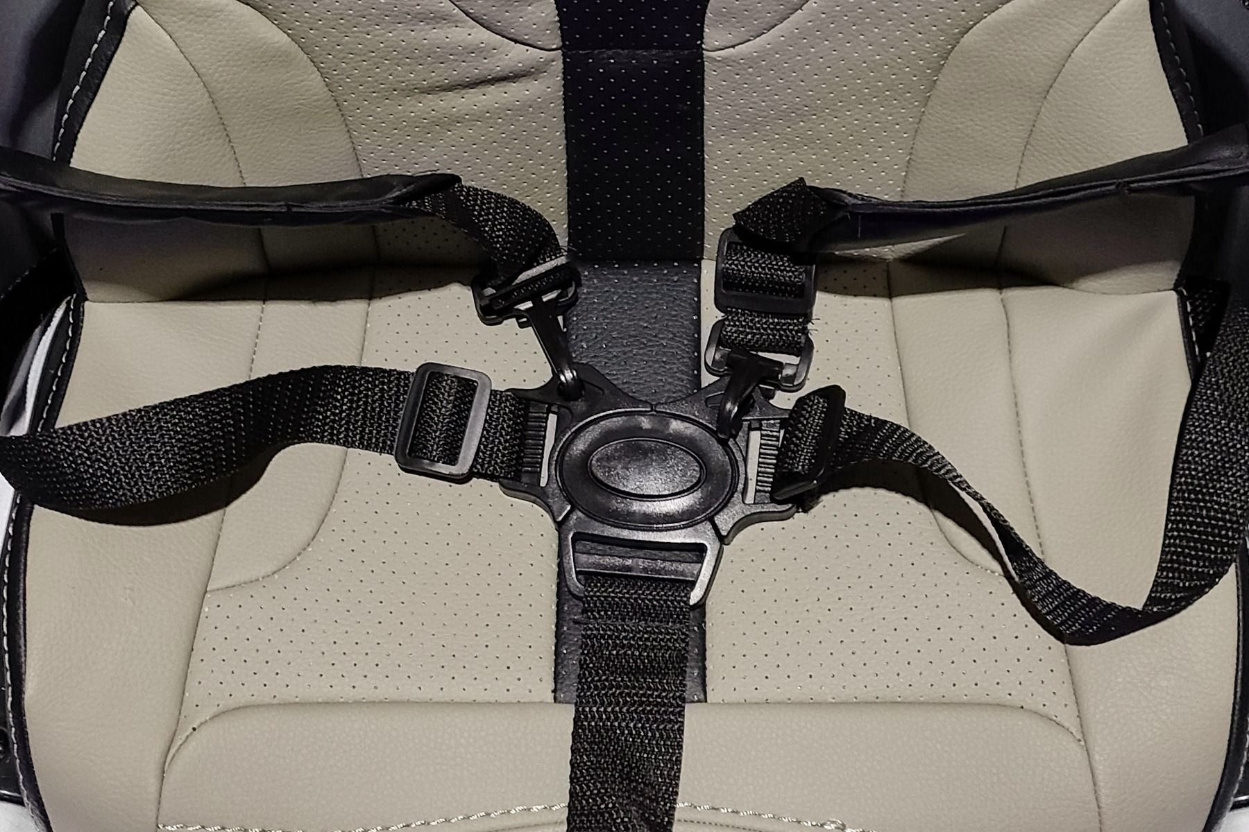 cinturón de seguridad de 5 puntos