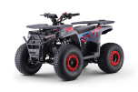 ATV - Quad para niños Beneo Motors WARRIOR Rojo - 125cc