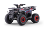 ATV - Quad para niños Beneo Motors WARRIOR Rojo - 125cc