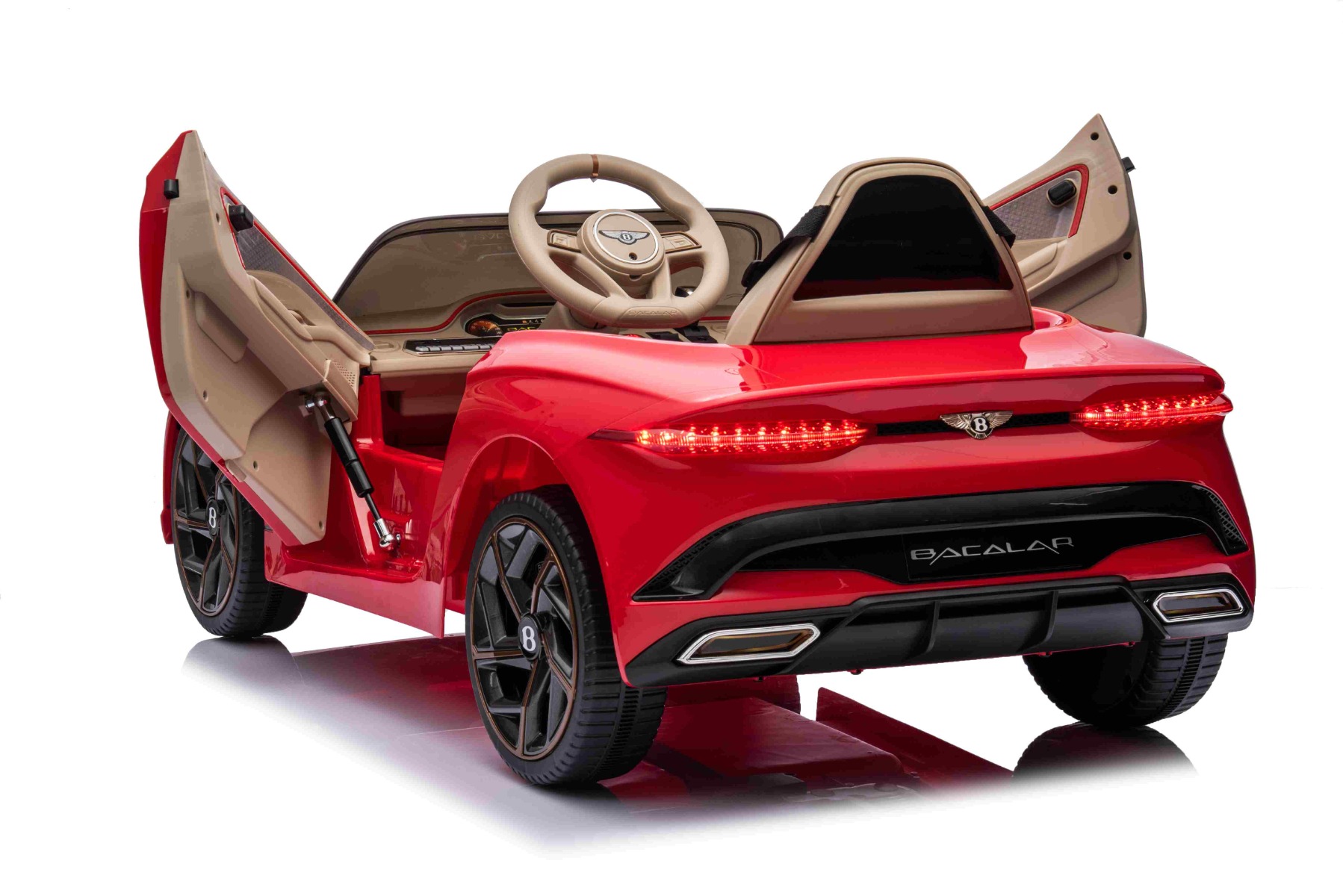 Luces LED traseras funcionales